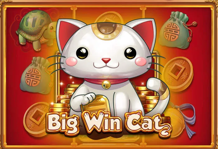 Lucky Star Casino Android app download for mobile gaming